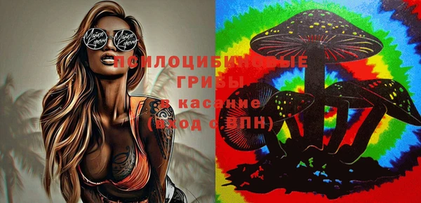 бутират Медногорск