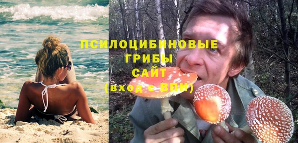бутират Медногорск
