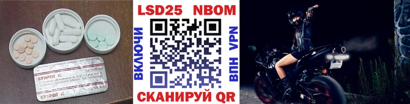 kraken онион  Николаевск  ЛСД экстази кислота  наркота 